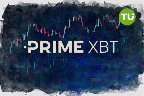 Exploring Financial Markets with PrimeXBT Online Trading