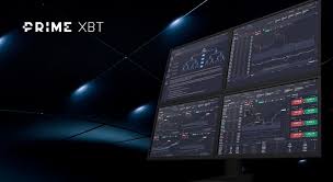 Exploring Financial Markets with PrimeXBT Online Trading